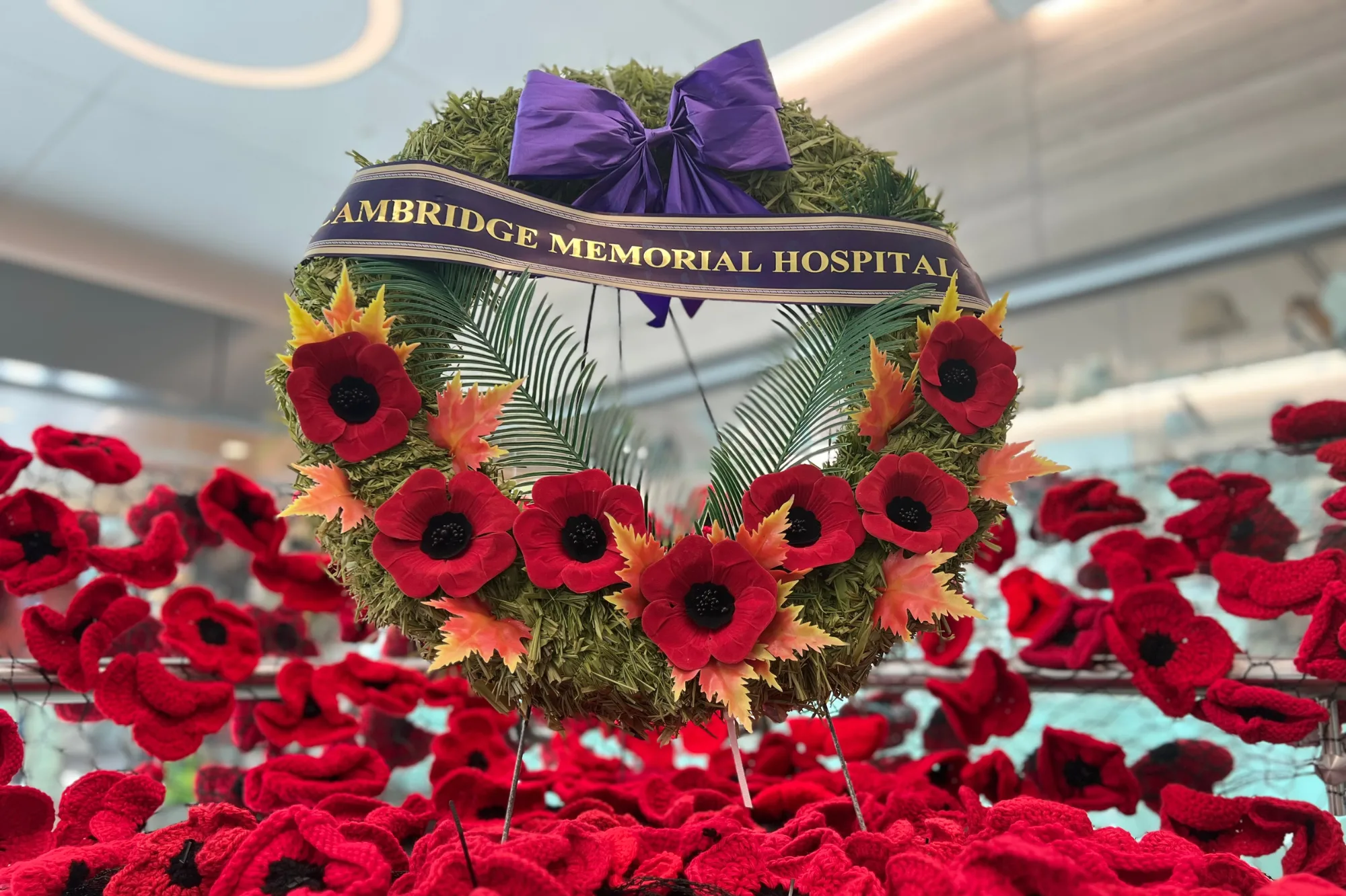 Celebrating Remembrance Day at CMHF